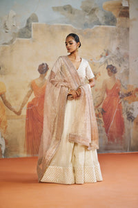 PINK KEDIA SHORT KURTA SET | Aashima Behl