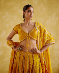 Aparna-Yellow lehnga | 5Elements