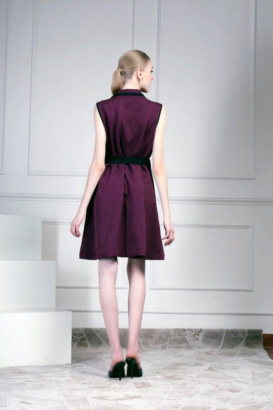 Maroon collared dress | House of Supriya