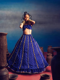Aparna-Blue lehnga | 5Elements