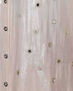 Ayna Shimmer Co-ord Set | AMBR